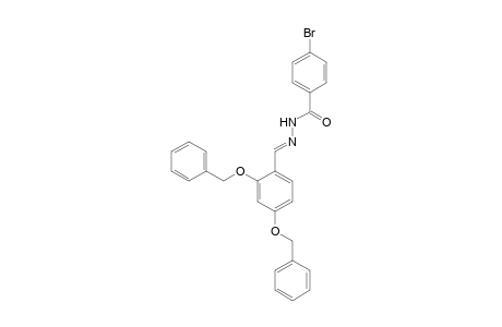 4-Bromobenzenamide, N-(2,4-dibenzyloxybenzylidenamino)-