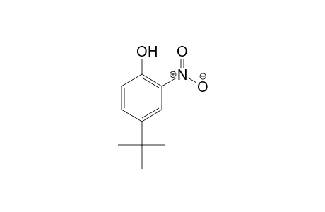 4-tert-Butyl-2-nitrophenol