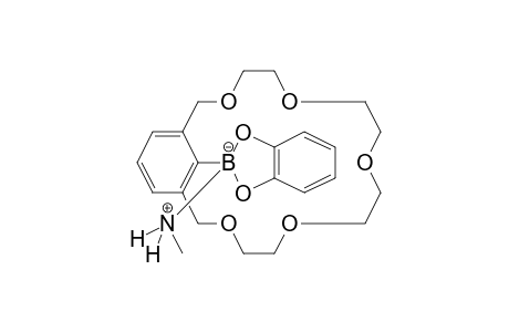 1,3-Xylyl-18-crown-5, 2-(benzo-1,3,2-dioxaborol-2-yl)-, methylamine