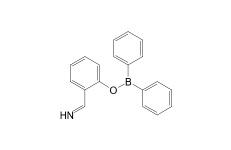 o-[(Diphenylboryl)oxy]benzylidenimine