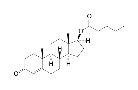 Testosterone valerate