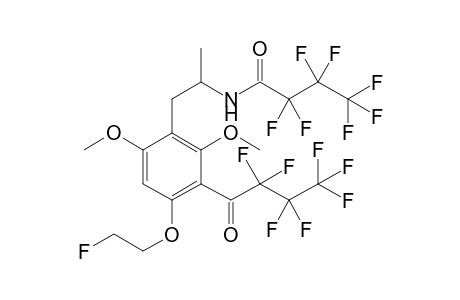 Psi-MFEM 2HFB (N,C)