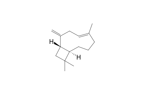 beta-Caryophyllene