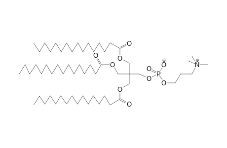 PHOSPHOHOMOCHOLINE