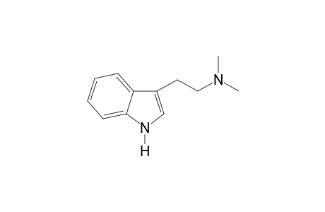 n,n-Dimethyltryptamine