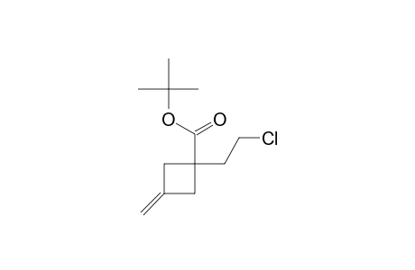 Cyclobutanecarboxylic acid, 1-(2-chloroethyl)-3-methylene-, 1,1-dimethylethyl ester