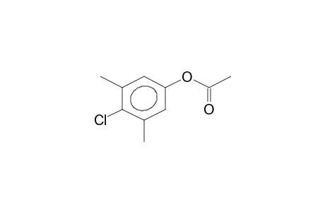 (4-chloranyl-3,5-dimethyl-phenyl) ethanoate