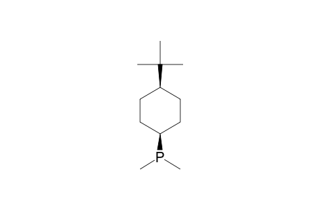 CIS-4-TERT.-BUTYL-CYCLOHEXYL-DIMETHYLPHOSPHINE