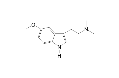 5-MeO DMT