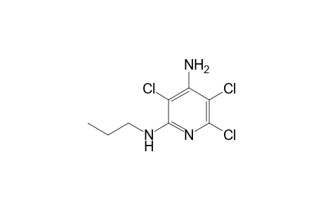 3,5,6-Trichloro-N2-propylpyridin-2,4-diamine