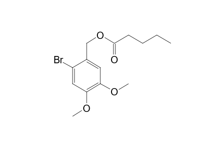 (2-Bromo-4,5-dimethoxyphenyl)methyl pentanoate
