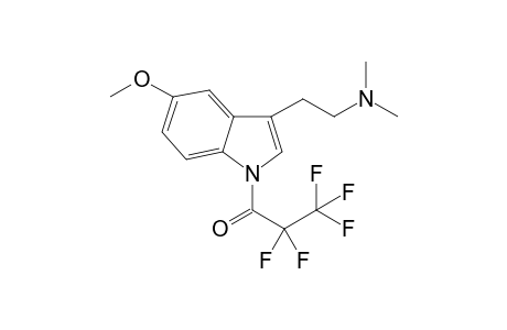 5-MeO DMT PFP