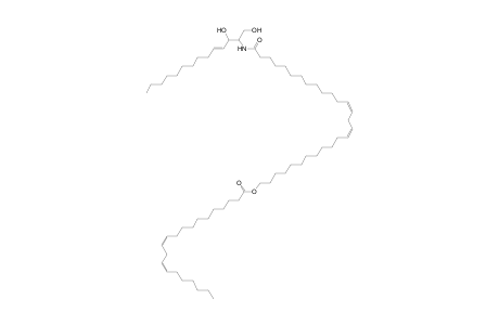 Cer 14:1;2O/28:2;O(FA 21:2)