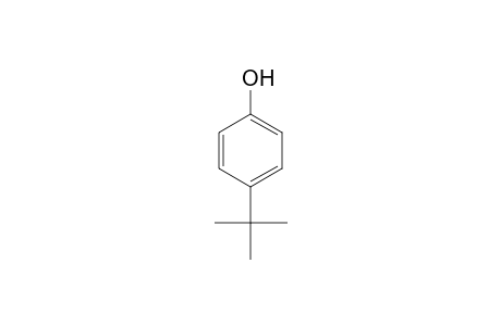 4-Tert-butylphenol