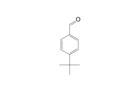 4-tert-Butylbenzaldehyde