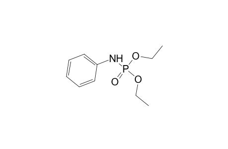 Phosphoramidic acid, phenyl-, diethyl ester