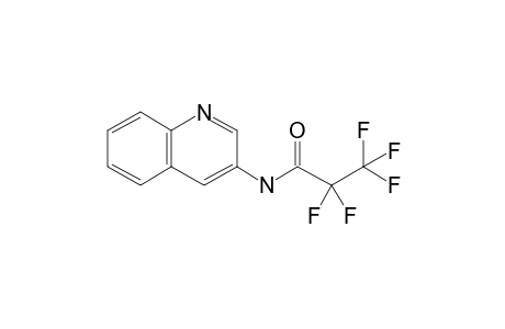 3-Aminoquinoline, N-pentafluoropropionyl-