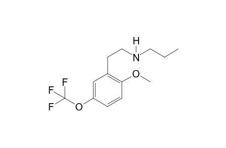 5TF-2C-H PR