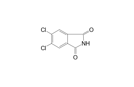 5,6-dichloroisoindoline-1,3-quinone