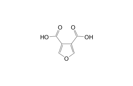 3,4-Furan dicarboxylic acid