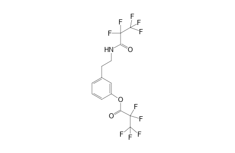 3-(2-[(2,2,3,3,3-Pentafluoropropanoyl)amino]ethyl)phenyl 2,2,3,3,3-pentafluoropropanoate