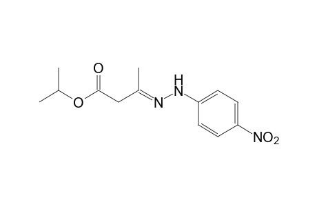 acetoacetic acid, isopropyl ester, p-nitrophenylhydrazone