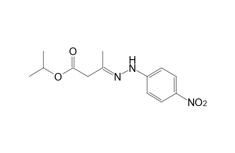 acetoacetic acid, isopropyl ester, p-nitrophenylhydrazone