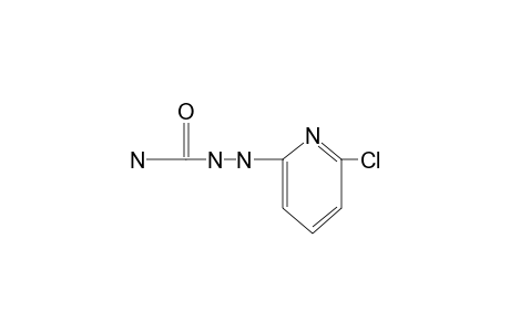 1-(6-CHLORO-2-PYRIDYL)SEMICARBAZIDE