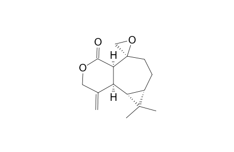 PLAGIOCHILINE-J