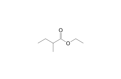 Ethyl 2-methylbutyrate