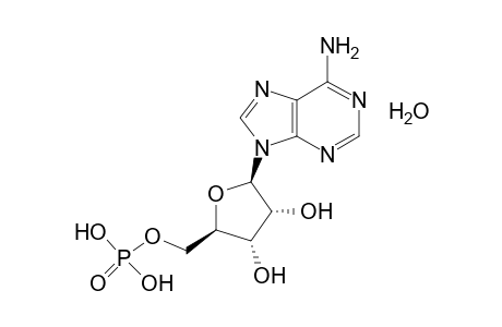 5'-Adenylic acid