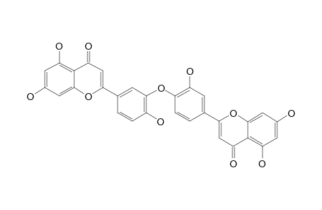 5,7,3',5'',7'',4'''-HEXAHYDROXY-(4'-O-3''')-BIFLAVONE;APIGENIN-3'-O-4'''-LUTEOLIN