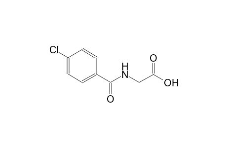 p-chlorohippuric acid