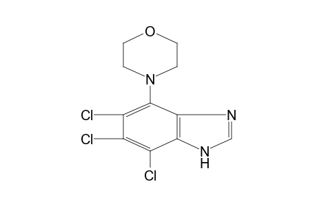 4-morpholino-5,6,7-trichlorobenzimidazole