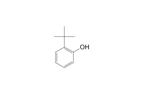 o-Tert-butylphenol