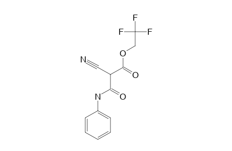 2-cyano-3-keto-3-(phenylamino)propionic acid 2,2,2-trifluoroethyl ester