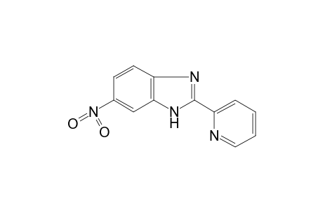 6-nitro-2-(2-pyridyl)benzimidazole