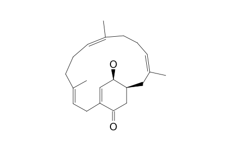 LONGITHORONE-J