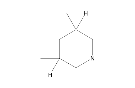 cis-3,5-Dimethyl-piperidine