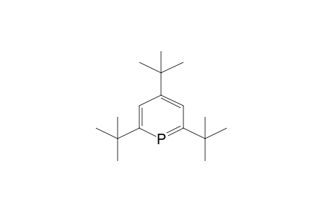 2,4,6-Tritert-butylphosphinine