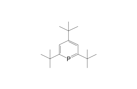 2,4,6-Tritert-butylphosphinine