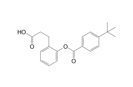 o-Hydroxyhydrocinnamic acid, p-tert-butylbenzoate (ester)