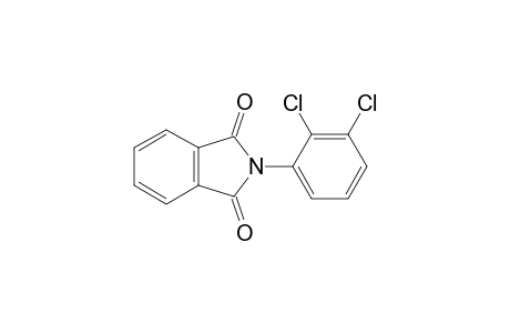 N-(2,3-dichlorophenyl)phthalimide