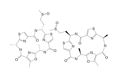 Dendroamide C