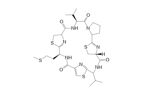 Mayotamide B