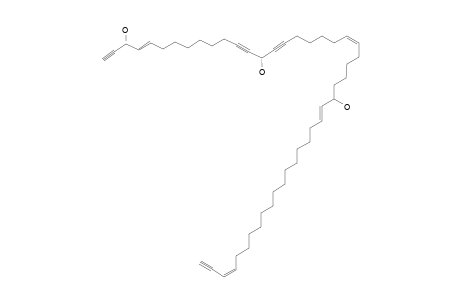 PETROCORTYNE_G