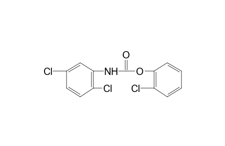 2,5-dichlorocarbanilic acid, o-chlorophenyl ester