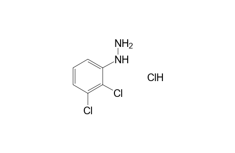 2,3-Dichlorophenylhydrazine hydrochloride