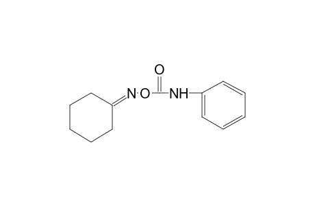 cyclohexanone, O-(phenylcarbamoyl)oxime