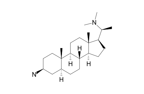 (3S,5S,8R,9S,10S,13S,14S,17S)-17-[(1S)-1-(dimethylamino)ethyl]-10,13-dimethyl-2,3,4,5,6,7,8,9,11,12,14,15,16,17-tetradecahydro-1H-cyclopenta[a]phenanthren-3-amine